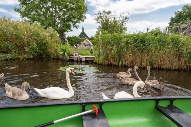 amsterdam-5-hour-guided-canoe-trip-in-the-wetlands