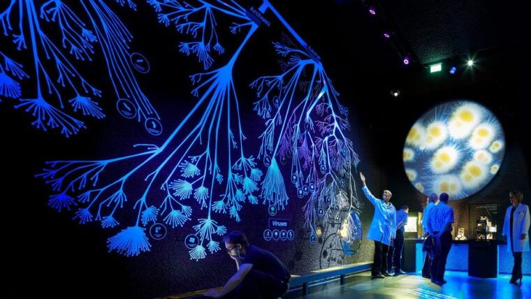 amsterdam-artis-royal-zoo-artis-micropia-combo-ticket