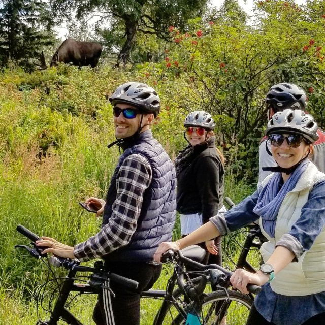 anchorage-coastal-trail-3-hour-city-bike-tour