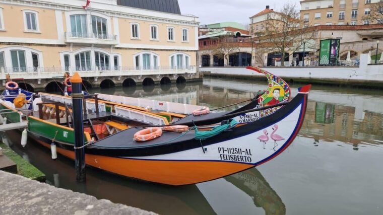 aveiro-costa-nova-and-coimbra-private-tour-from-porto
