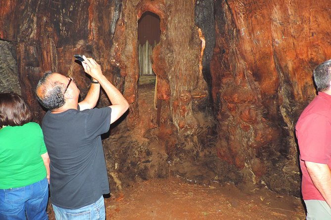 avenue-of-the-giant-redwood-private-1-day-tour-from-san-francisco