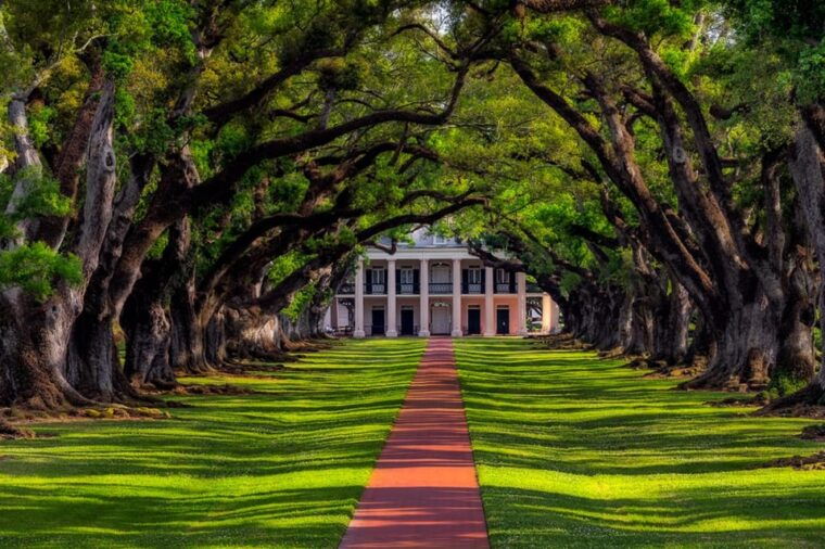 bayous-and-byways-oak-alley-plantation-and-kayak-swamp-tour