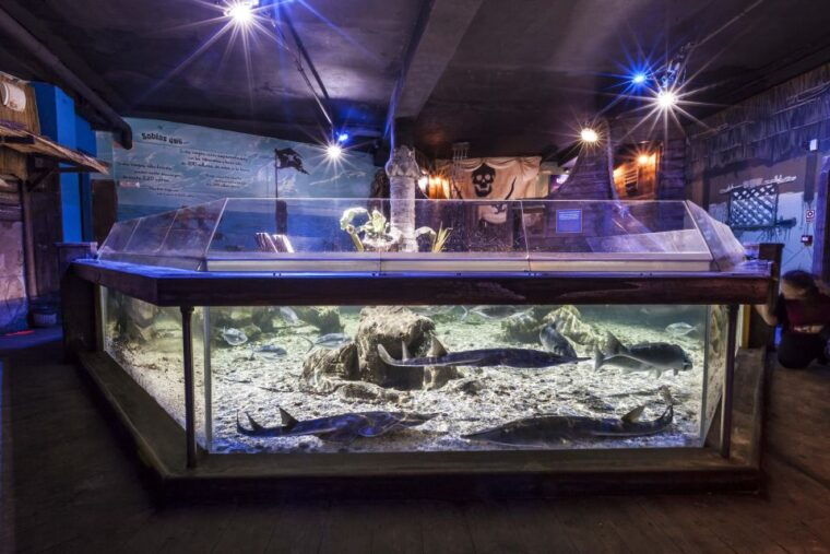 benalmadena-sea-life-benalmadena-premium-entry-ticket