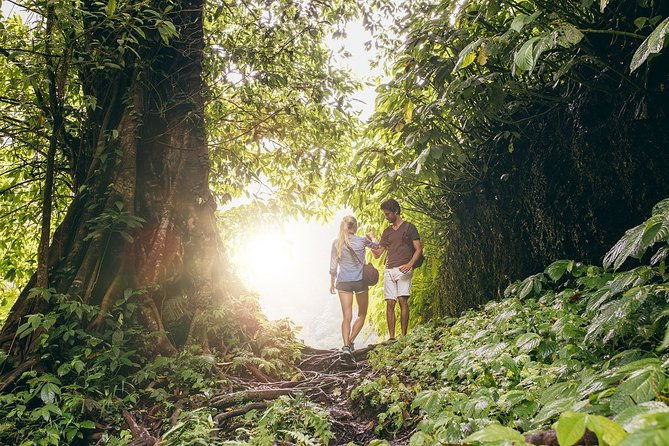 best-of-costa-rica-12d-11n-vacation-package