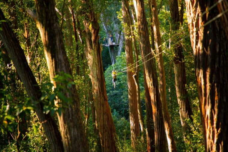 big-island-full-day-kohala-zipline-and-waterfall-adventure