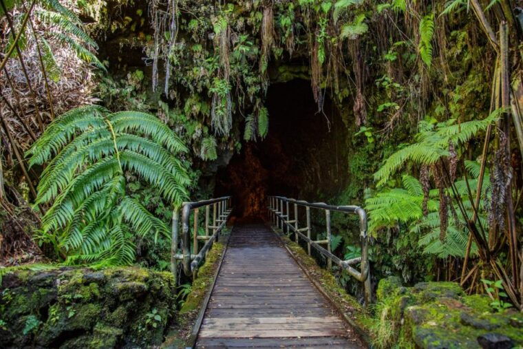 big-island-hawaii-volcano-and-stargazing-tour-with-dinner