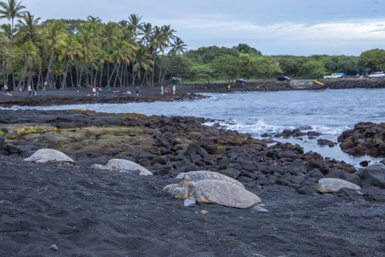 big-island-private-island-circle-tour-with-lunch-and-dinner