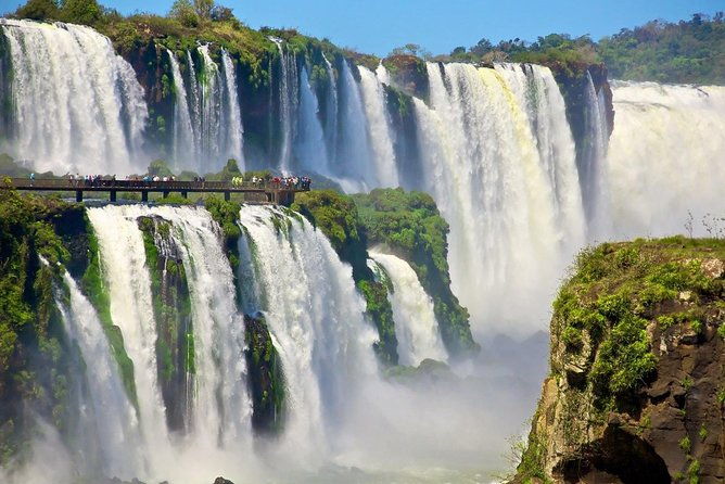 bird-park-iguassu-brazilian-side-from-puerto-iguazu-hotels-private-tour