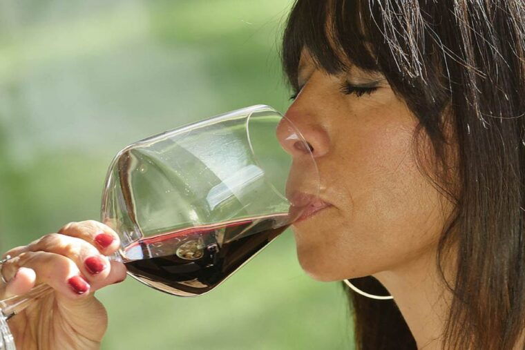bolgheri-winery-tour-with-wine-tasting