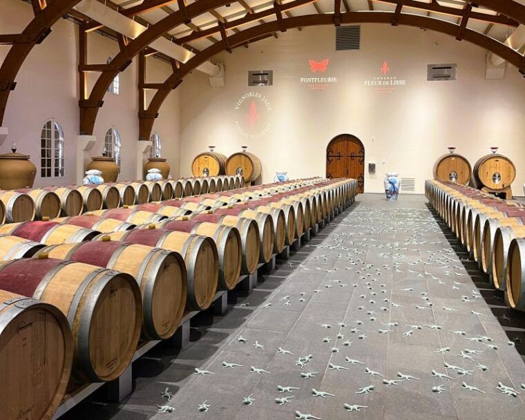 bordeaux-st-emilion-vineyards-e-bike-tour-with-wine-lunch