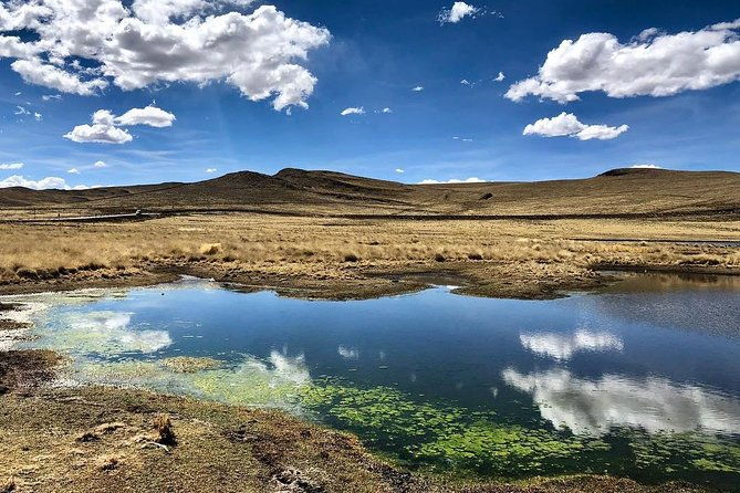 bus-from-puno-to-chivay-with-stops