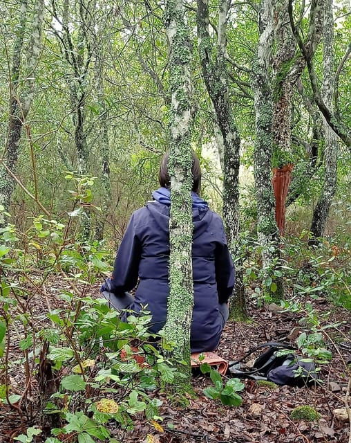 cagliari-forest-bathing-at-sette-fratelli-park