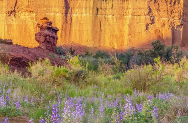 capitol-reef-national-park-cathedral-valley-day-trip