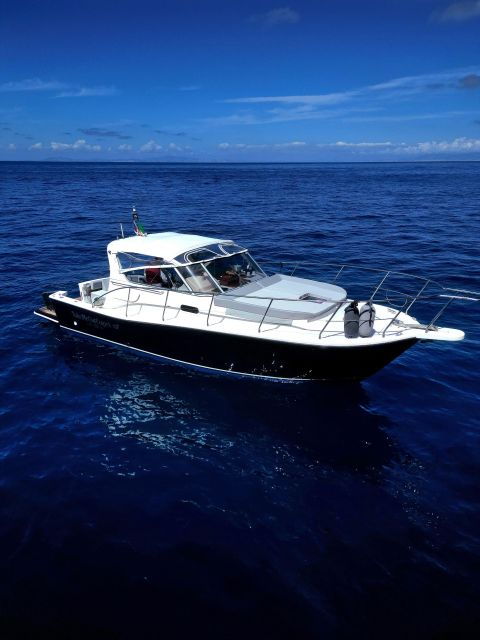 capri-private-boat-tour-with-visit-to-the-caves