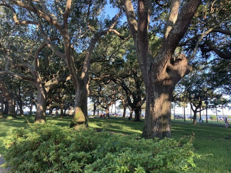 charleston-historical-walking-tour-with-storytelling