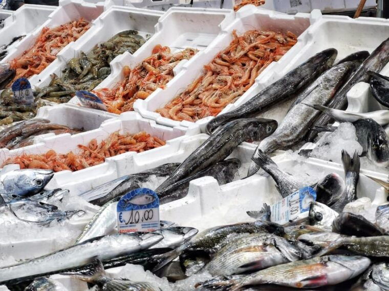 civitavecchia-historical-and-culinary-walking-tour