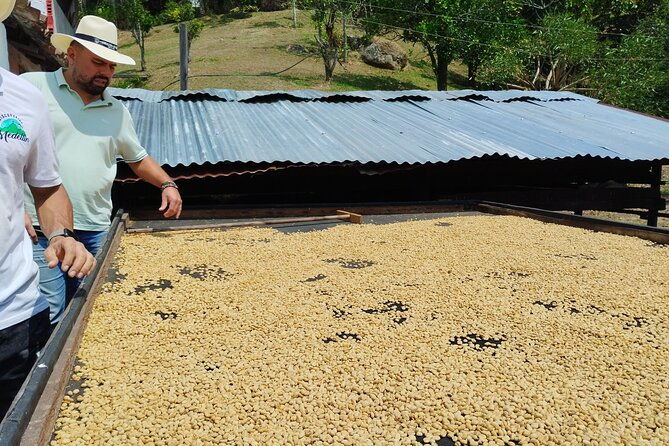 coffee-tour-medellin