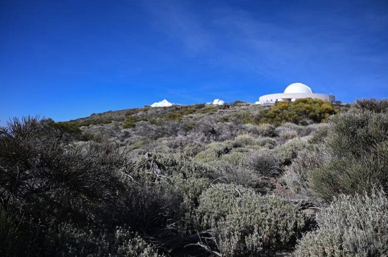 collective-adventure-travel-volunteer-in-tenerife