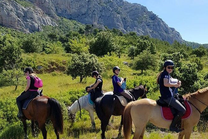 countryside-immersion-with-horseback-riding-in-sainte-victoire