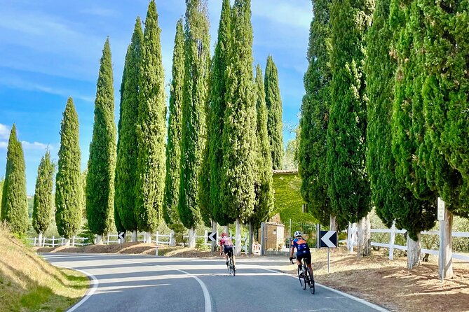 cycling-in-tuscany-top-experience-1-day-race-bike-rental