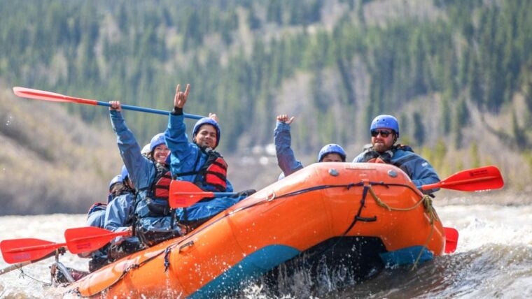 denali-alaska-canyon-wave-raft-class-iii-iv-paddle-oar