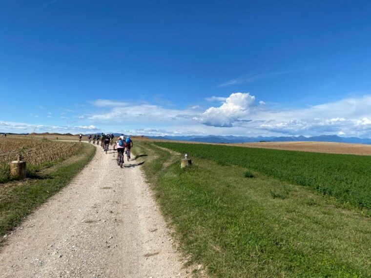 desenzano-e-bike-tour-with-wine-tasting