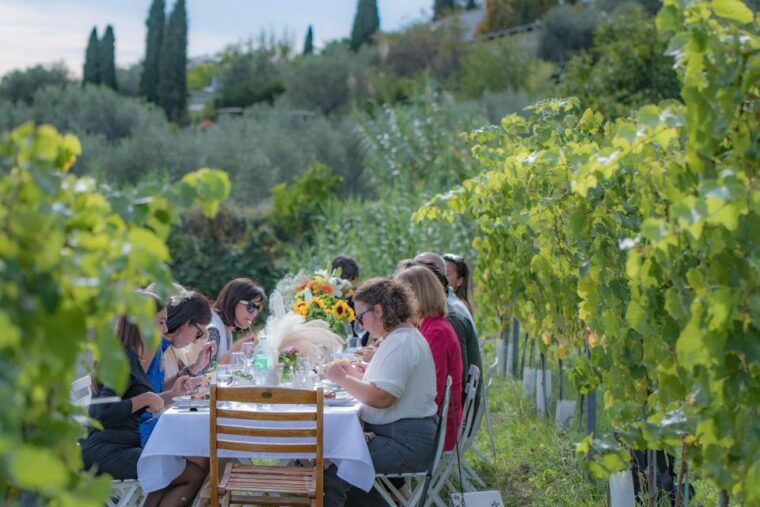 dinner-in-the-vineyard-french-riviera
