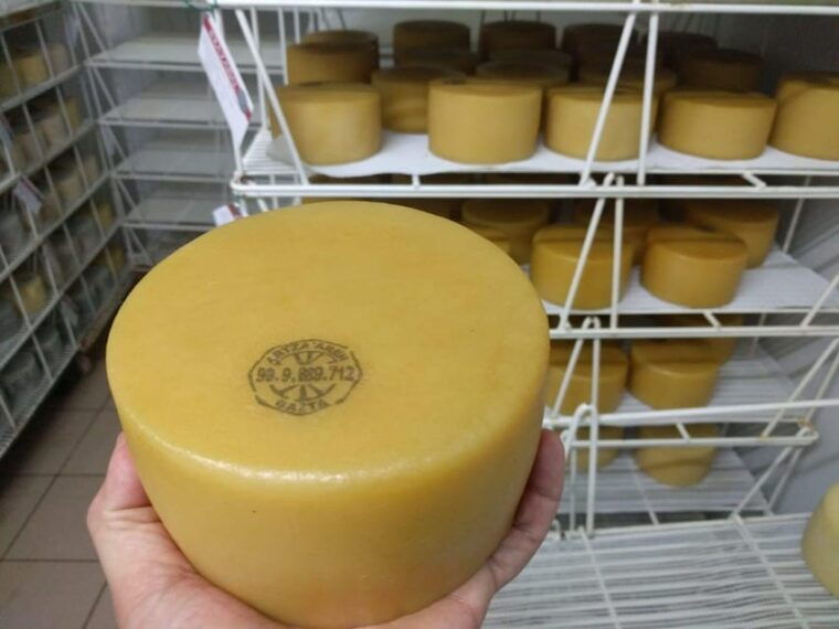 discover-the-art-of-idiazabal-cheese-in-the-basque-country