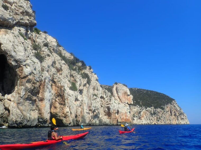 dolphin-kayak-safari-at-sunset-at-golfo-aranci