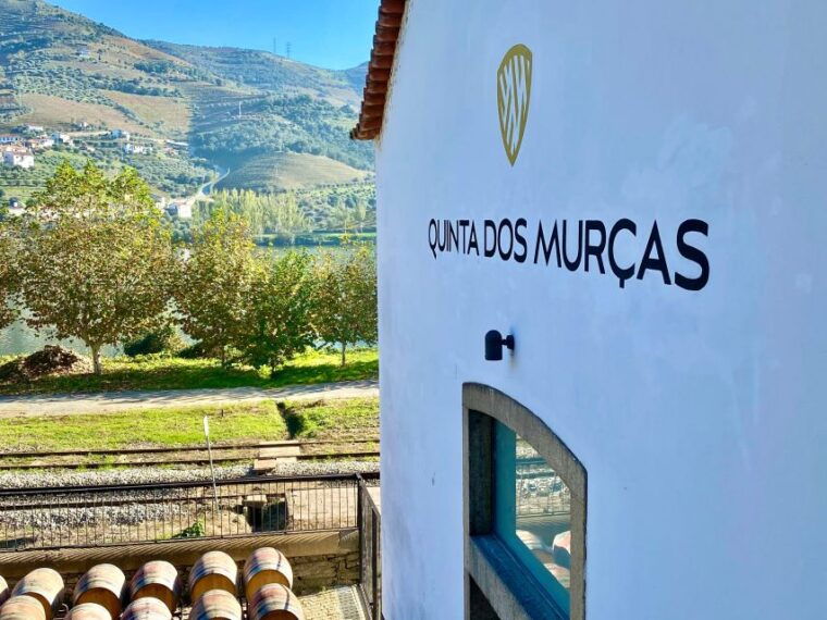 douro-tour-with-train-walking-picnic-and-wines