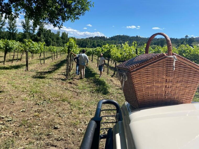 douro-valley-wine-safari-with-wine-tastings-and-lunch