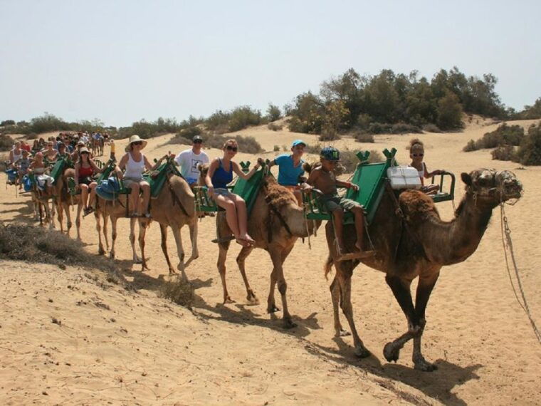 e-bike-city-tour-with-camel-safari-on-maspalomas-sand-dunes