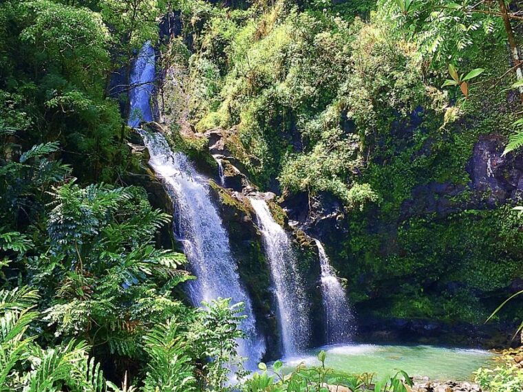 east-maui-private-rainforest-or-road-to-hana-loop-tour