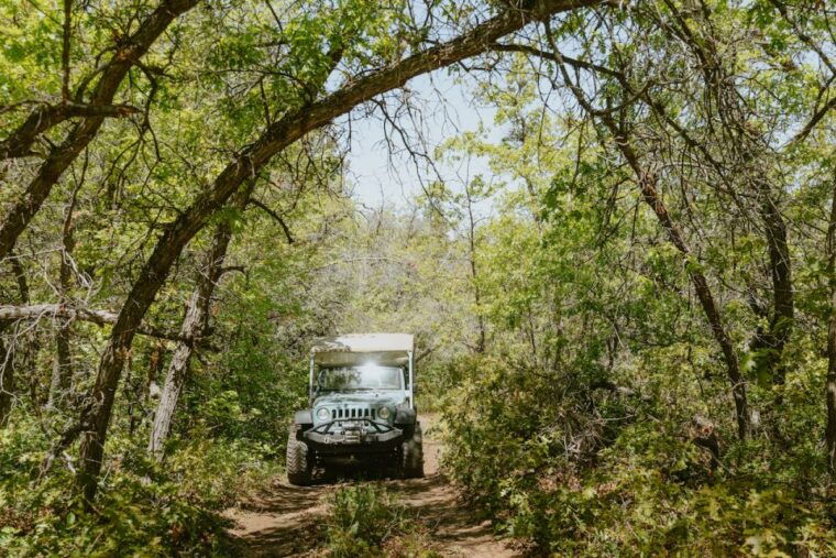 east-zion-brushy-cove-jeep-adventure