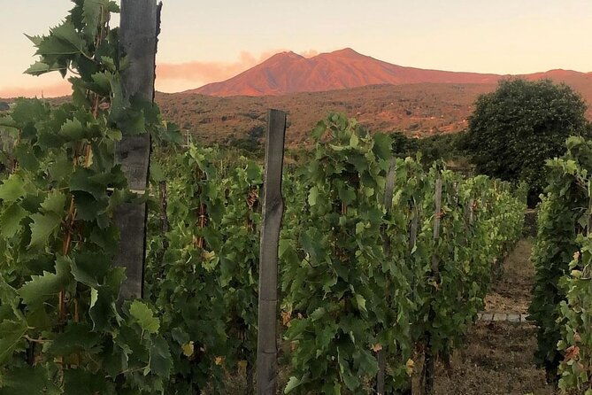etna-and-wine-adventure-and-tasting-between-craters-and-cellars