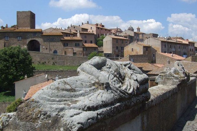 etruscan-mystery-port-tour-driver-only-self-touring