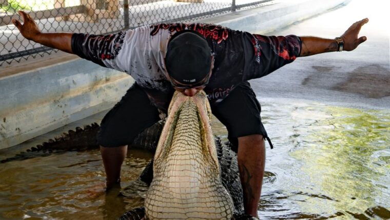 everglades-city-guided-kayaking-tour-with-and-airboat-ride