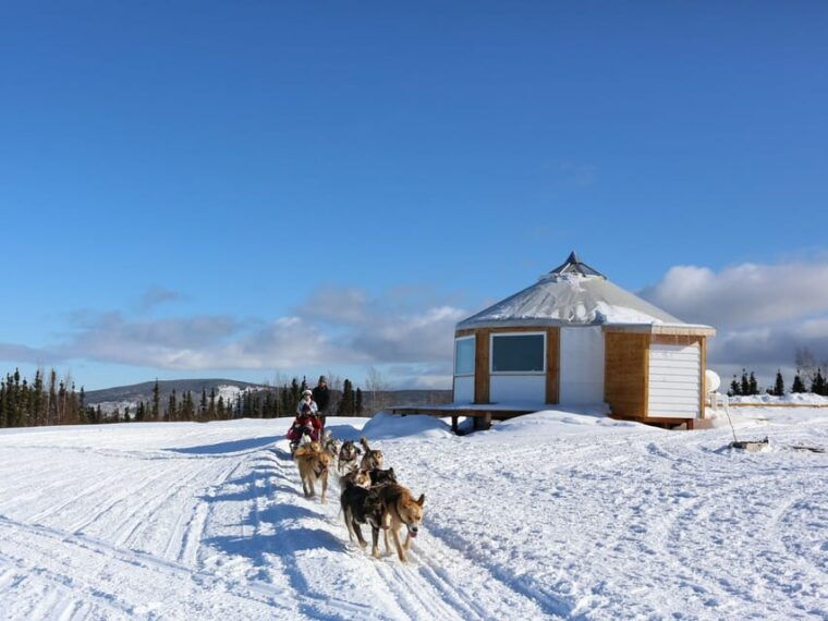 fairbanks-1-hour-alaskan-winter-dog-sledding-adventure