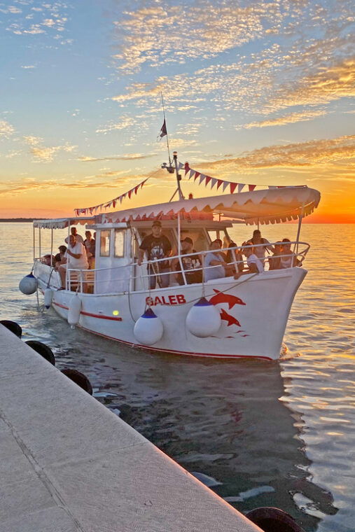 fazana-sunset-dolphin-cruise-in-brijuni-park