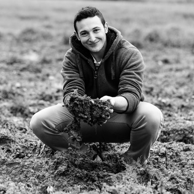 flavors-and-wine-exclusive-tasting-tour-near-montepulciano