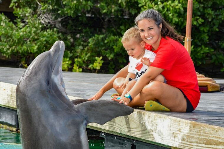 florida-keys-dockside-dolphin-experience