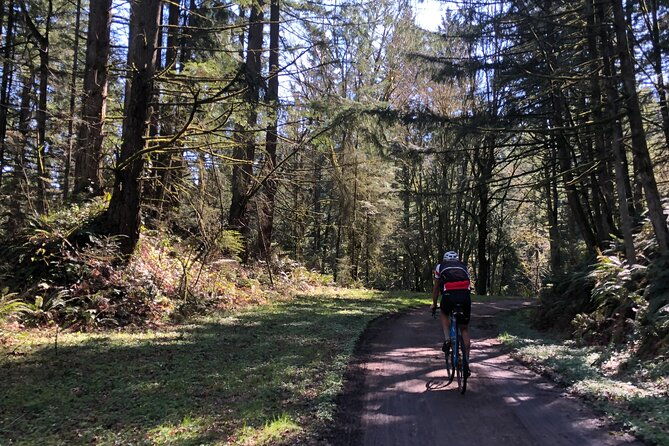 forest-park-carbon-gravel-bike-and-e-bike-tour