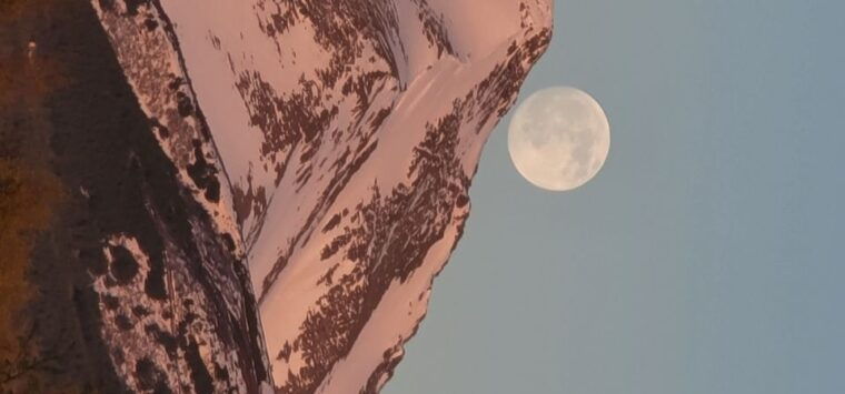 from-anchorage-wilderness-wildlife-glacier-experience