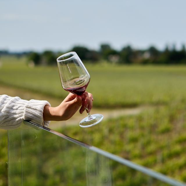 from-bordeaux-private-wine-tour-to-saint-emilion