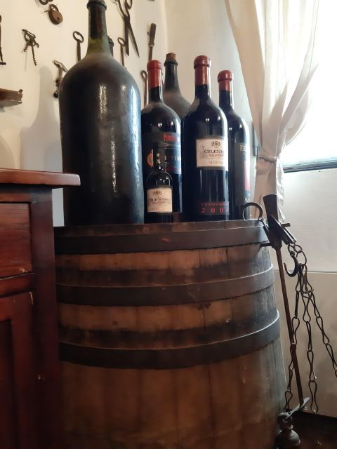 from-castellabate-food-tour-in-cilento-national-park