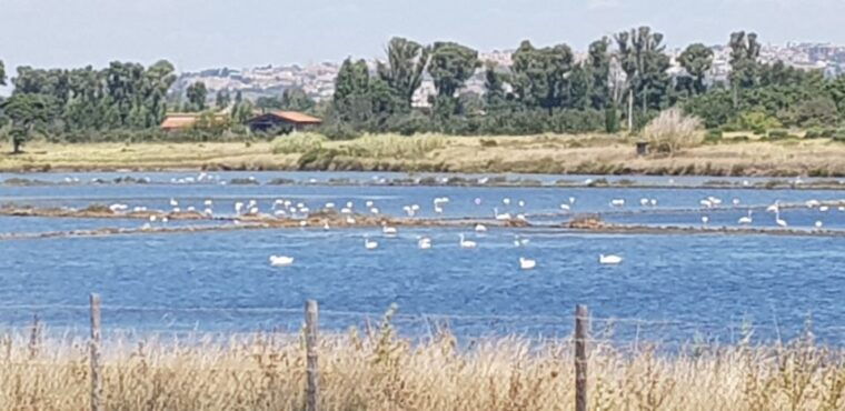 from-civitavecchia-tarquinia-unesco-site-visit-with-lunch