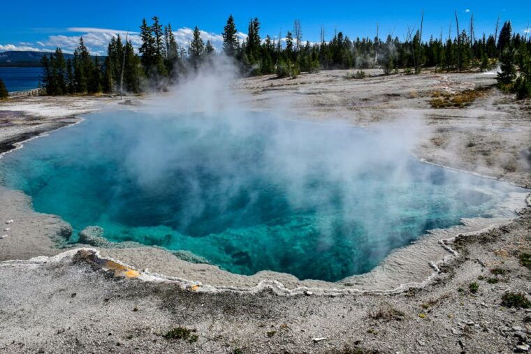 from-cody-full-day-yellowstone-national-park-tour