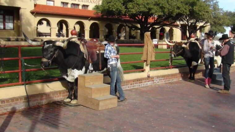 from-dallas-fort-worth-guided-day-tour