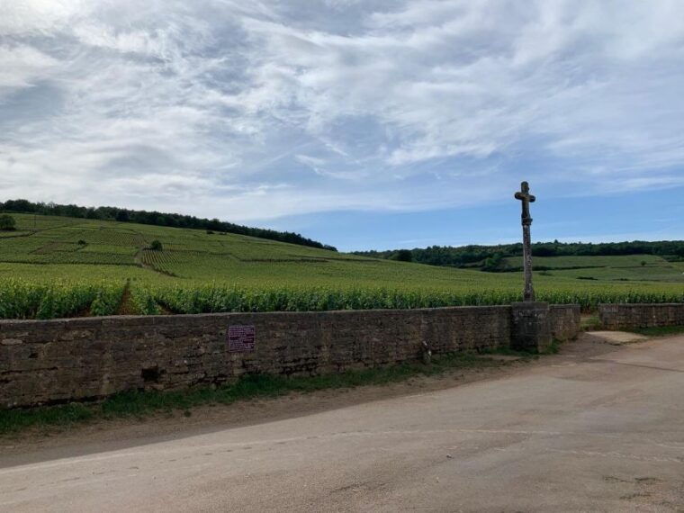 from-dijon-beaune-burgundy-region-winery-tour-with-lunch