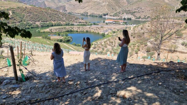 from-gaia-douro-valley-tour-wine-tasting-river-cruise-lunch